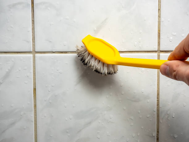 Best Mold Remediation  in Millersville, PA