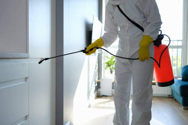 Reliable Millersville, PA Mold Removal Solutions